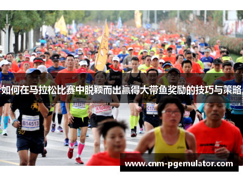 如何在马拉松比赛中脱颖而出赢得大带鱼奖励的技巧与策略