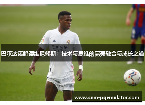 巴尔达诺解读维尼修斯：技术与思维的完美融合与成长之道