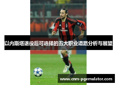 以内斯塔退役后可选择的五大职业道路分析与展望