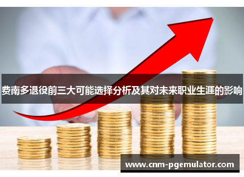 费南多退役前三大可能选择分析及其对未来职业生涯的影响