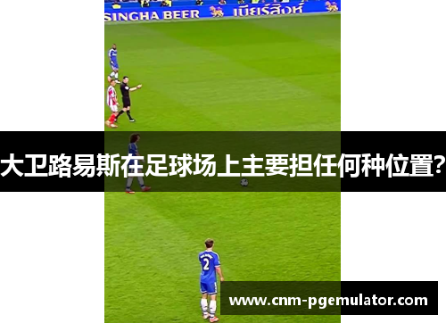 大卫路易斯在足球场上主要担任何种位置？