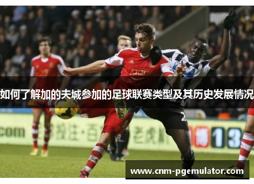 如何了解加的夫城参加的足球联赛类型及其历史发展情况