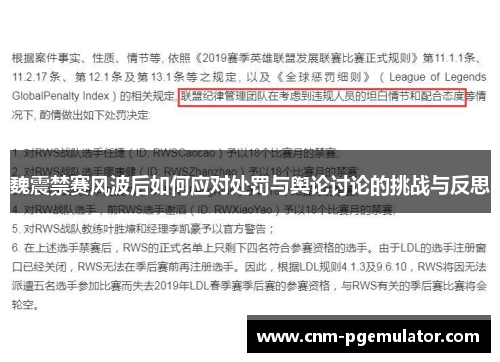 魏震禁赛风波后如何应对处罚与舆论讨论的挑战与反思