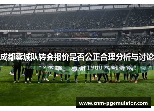 成都蓉城队转会报价是否公正合理分析与讨论