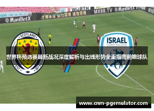 世界杯预选赛最新战况深度解析与出线形势全面指南前瞻球队