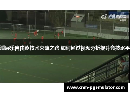 潘展乐自由泳技术突破之路 如何通过视频分析提升竞技水平