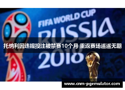 托纳利因违规投注被禁赛10个月 重返赛场遥遥无期